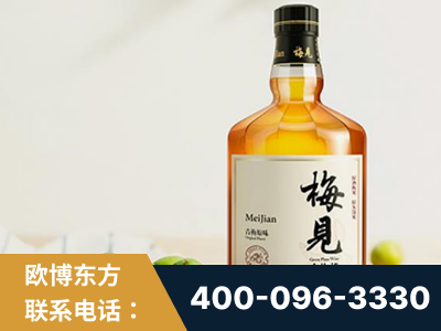 南通-梅见青梅酒